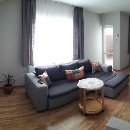 Theresia Apartment シビウ エクステリア 写真